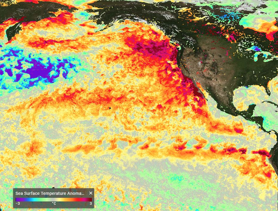 Comparative ENSO Rainfall Climatology using October SST data