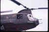 chinook1.jpg (36148 bytes)